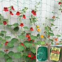 【CW】 Garden Climbing Trellis Netting Heavy Duty Vine Vegetables Support Net