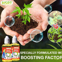 HSRT ปลูก Grow Phytosomatin อาหารเสริมปุ๋ยสำหรับพืชอวบน้ำสีม่วงกุหลาบ