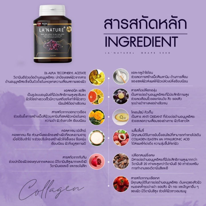 lanature-grape-seed-plus-ลาเนเจอร์-พลัส-สารสกัดจากเมล็ดองุ่น-ดีดับบลิว-ลาเนเจอร์-30-แคปซูล-กระปุก-1-กระปุก