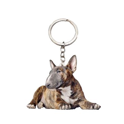 【YF】 Bull Terrier Dog Acrylic Keyring Animal Sit Dogs Stainless Steel Keychain Men Car Key Chain Ring Gift Gifts for Women