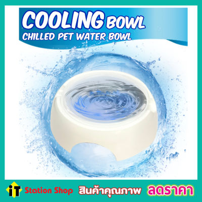 Pet Cooling Bowl ชามน้ำเจลเย็น ถ้วย เย็น ถ้วยน้ำสัตว์ ถ้วยน้ำสุนัข ถ้วยน้ำแม้ว ชามให้น้ำแมว ชามให้น้ำหมา ชามให้น้ำสุนัข แบบเย็น นาน 4-8 ชม
