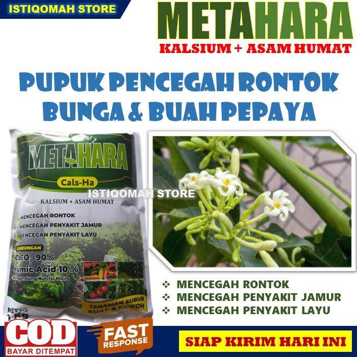 Metahara Kg Pupuk Kalsium Bubuk Obat Anti Rontok Bunga Dan Buah