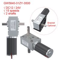 GW5840-31ZY Double Shaft 3500 to 2.5 3 5 7 12 17 35 70 110 200RPM 24V 15W DC Brushed Turbine Worm Gear Motor High Torque Low RPM Electric Motors