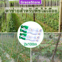 【GraceStore】ตาข่ายปลูกผัก โครงไม้เลื้อย ค้างไม้เลื้อย ตาข่ายพลาสติก ตาข่ายไนล่อน ตะข่ายไนลอน ต้นไม้เลื้อย อวนแตง หลักไม้เลื้อย ตาข่ายปลูกแตงกวา ตาข่ายไม้เลือย ตาขายปลูกผัก ตาข่ายทำค้าง ตาข่ายปลูกถั่ว อุปกรณ์ทำสวน ของแต่งสวน อุปกรณ์แต่งสวน ตาข่ายการเกษตร