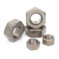 2/5/10Pcs M1.6 M2 M2.5 M3 M4 M5 M6 M8 M10 M12 M14 M16 Pure Titanium TA2 Hexagon Hex Nut DIN934 High Quality Gr2 Nails Screws Fasteners