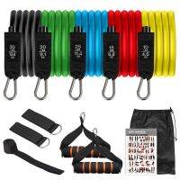 Resistance Bands Set Exercise Bands with Door Anchor Handles Carry Bag Legs Ankle Straps for Resistance Training Home Workouts