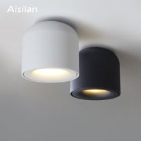 Aisilan Surface Mounted LED Ceiling Light Spot Light for Living Room Bedroom Kitchen Corridor Ceiling Lamp AC 90v-260v