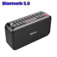 With Two 18650 Battery Mini Bluetooth 5.0 Bass Speakers Hands-free Call Sound Recorder FM Radio TF USB Play Support Earphone