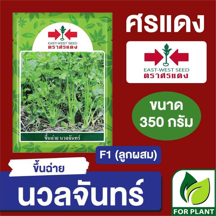 เมล็ดพันธุ์-ผักซอง-ศรแดง-ขึ้นฉ่าย-นวลจันทร์-บรรจุ-350-กรัม