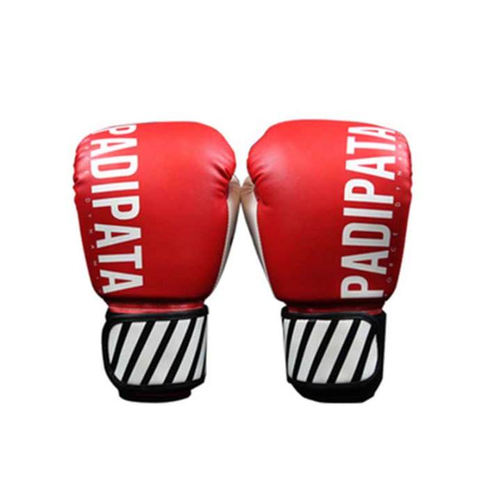 padipata-boxing-professional-sanda-training-fighting-boys-and-girls-boxing-s-paddy-pata