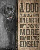 Dog The Only Thing On Labrador Retriever Music Vintage Novelty Funny Home Bathroom Bar Pub Cottage Farm Rustic Retro Tin Sign