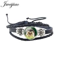 【CW】 JWEIJIAO Small Hedgehog Glass Bangles Leather 18MM Round Photo Jewelry H227