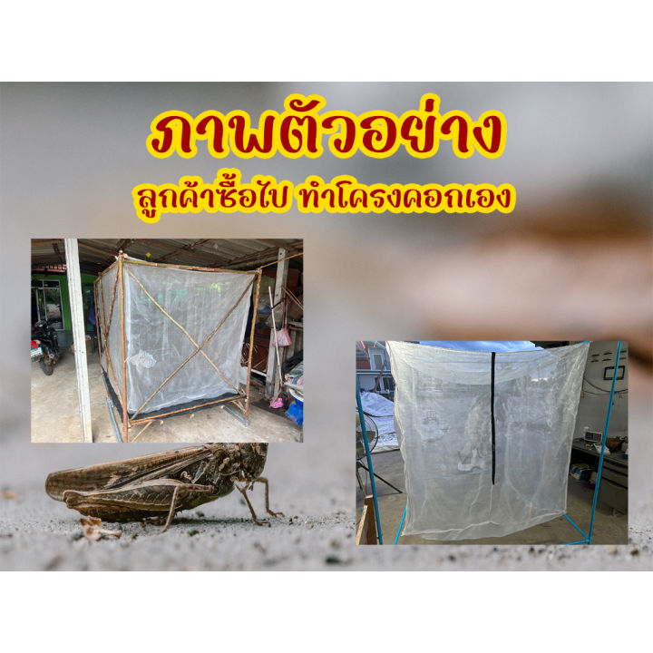 5-0-คอกเลี้ยงตั๊กแตน-จิ้งหรีอ-32ตา-สินค้าใหม่เข้าสู่ตลาด