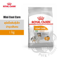 Royal Canin Mini Coat Care อาหารสุนัขโตพันธุ์เล็กที่ต้องการดูแลสุขภาพเส้นขน ขนาด1กก.