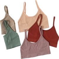 【jw】❆❁  Push Up Seamless Bras Soft Sport Tube Brassiere Womens Low Back Crop