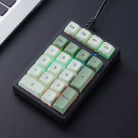 (มีในสต็อก) APAYADO Mechanical Numeric Keypad Blue Switch Mini Wired Keyboard Computer Numpad Laptop PC Accounting Business Workers Number **