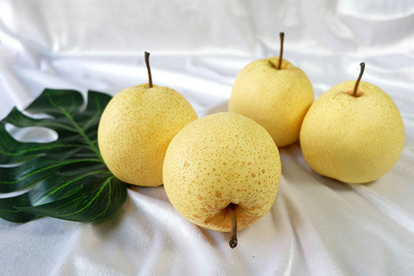 สาลี่-สาลี่น้ำผึ้ง-sweet-pear-เนื้อกรอบ-หอม-หวาน-ฉ่ำ-ราคา-1ลูก