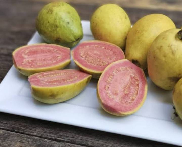 เมล็ดพันธุ์ฝรั่งขี้นกไส้ชมพู-เมล็ดพันธุ์ฝรั่ง-ฝรั่ง-บรรจุ-10-เมล็ด-10-บาท-guava-seeds
