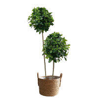 66in ขนาดใหญ่พืชประดิษฐ์ปลอมต้นไทรต้นไม้พลาสติก Tropical Ficus Tree ใบปาล์มสำหรับ Home Garden Shop Office Decor