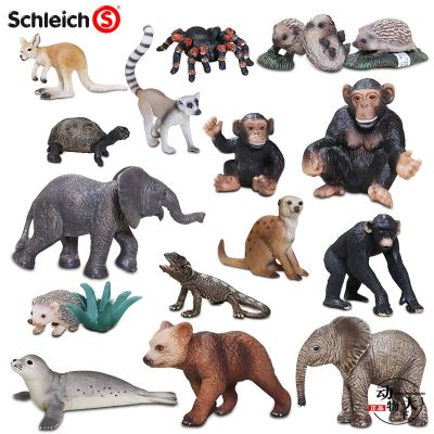 Germany Schleich Sile simulation wild childrens plastic animal model toy ornaments kangaroo 14608