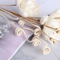 5PCS/PACK Special Volatilization Accessories For Aromatherapy Rattan Reed Diffuser Sticks Home Fragrance Products