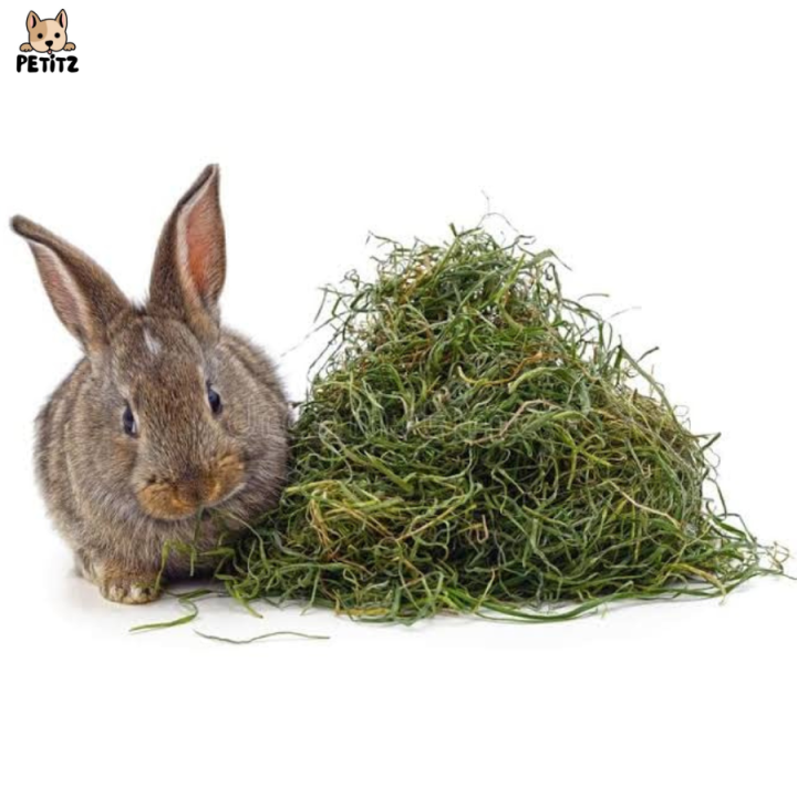 หญ้าอัลฟาฟ่าสับ-หญ้ากระต่าย-อาหารกระต่าย-ทิมโมธี-ขนมกระต่าย-สำหรับลูกสัตว์-กระต่าย-แกสบี้-หนูขวัญ-หนูตะเภา-ขนาด-1000g-petitz