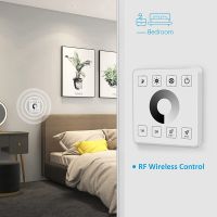 RF Wireless Wall- Mounted Dimmer Control for DC5-24V 30A Single Color Lighting