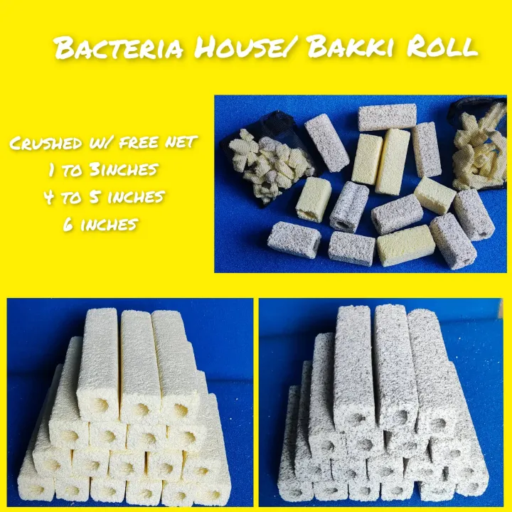 10pcs Ceramic Bio Filter Media Lazada PH