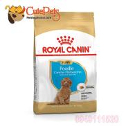 Royal Canin Poodle Junior 1.5kg và 500g Thức ăn cho chó Poodle nhỏ
