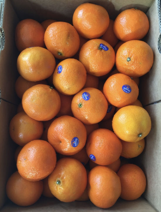 ส้ม-ส้มแมนดาริน-ออสเตรเลีย-ตรา-benyenda-54-56-ลูก-ลัง-นำเข้าจากออสเตรเลีย-น้ำหนักชั่งรวมลังประมาณ-9-กิโลกรัม