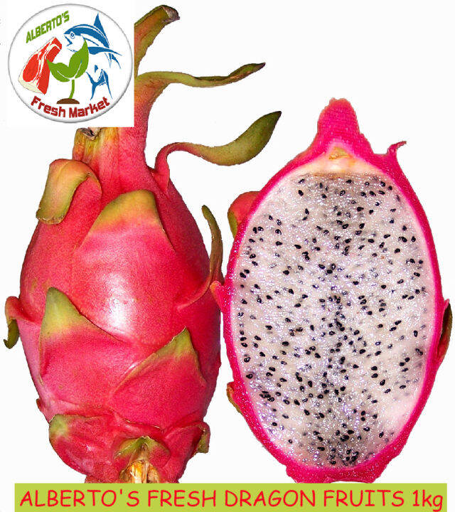 FRESH DRAGON FRUITS 1kg Lazada PH