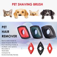 Mini Pet Hair Remover - Home Fabric Dog Cat Fur Removal Brush Car Hair Detailer