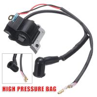 2 Hole Ignition Coil Fit for Chainsaw Strimmer Brush Cutter Brushcutter 4 Stroke 139 Engine Lawnmowers