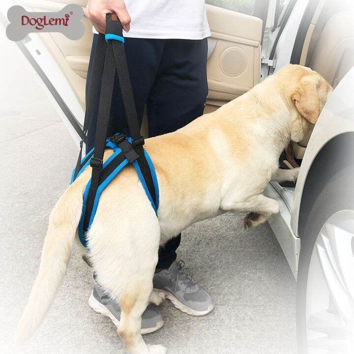 Pet leg walking support belt hind leg disability injury high age dog ...