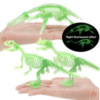 1 PCS Night Fluorescence ไดโนเสาร์ Fossil โครงกระดูก Assorted ไดโนเสาร์โครงกระดูกของเล่นตัวเลข Dino กระดูกการศึกษาของขวัญของเล่นเด็กสำหรับวิทยาศาสตร์เล่น Dino ทราย Dig Party Favor ตกแต่งเกม Props