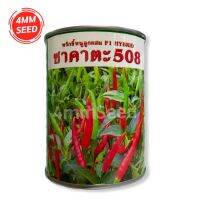 พริก ขี้หนูลูกผสมซาคาตะ508 F1 HYBRID 50 g.