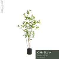 Premium CamelliaTree - Height  95-125-245 cm ต้นคาเมลเลียรุ่นใบดก ความสูง 95-125-245 ซม.ต้นไม้ปลอมเกรดพรีเมี่ยมเพื่อการตกแต่ง ต้นไม้ประดิษฐ์ตกแต่งบ้าน คอนโด