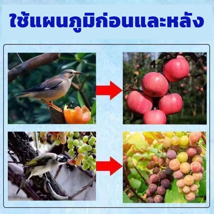 สิ่งจำเป็นสำหรับการปลูกสวนผลไม้-เครื่องไล่นก-ขับไล่สัตว์-แสงอาทิตย์-อัลตร้าซาวด์-ปกป้องพืชผล-ปกป้องสวนผลไม้-สัญญาณไล่นก-อุปกรไล่นกพิราบ-คลื่นไล่นก-เครื่องไล่งู-เครื่องไล่สัตว์-อัลตราโซนิคขับไล่นก-ที่ส