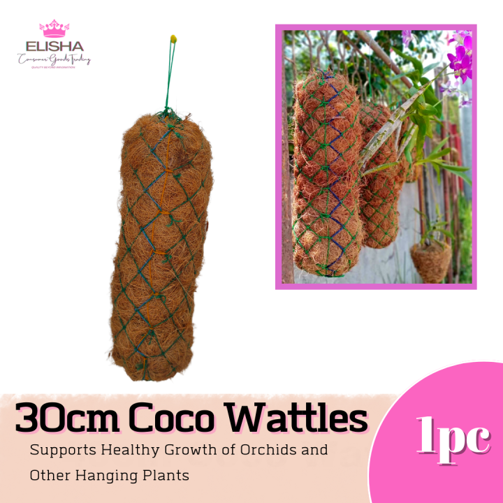 ELISHA l Coco Fiber Wattles (30cm) Supports Healthy Growth of Orchids