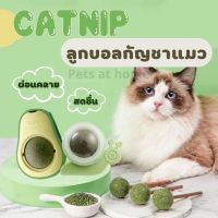 แคทนิปบอล ของเล่นแมว สมุนไพรออร์แกนิค Catnip ballลูกบอลแมว กัญชาแมว ติดกำแพง