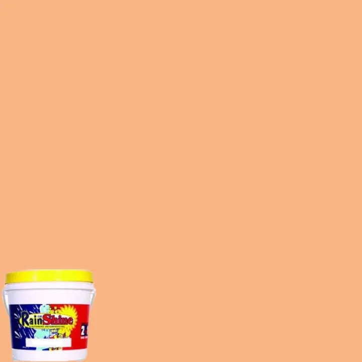 Rain or Shine Elastomeric House Latex Waterproofing Paint Boracay 16