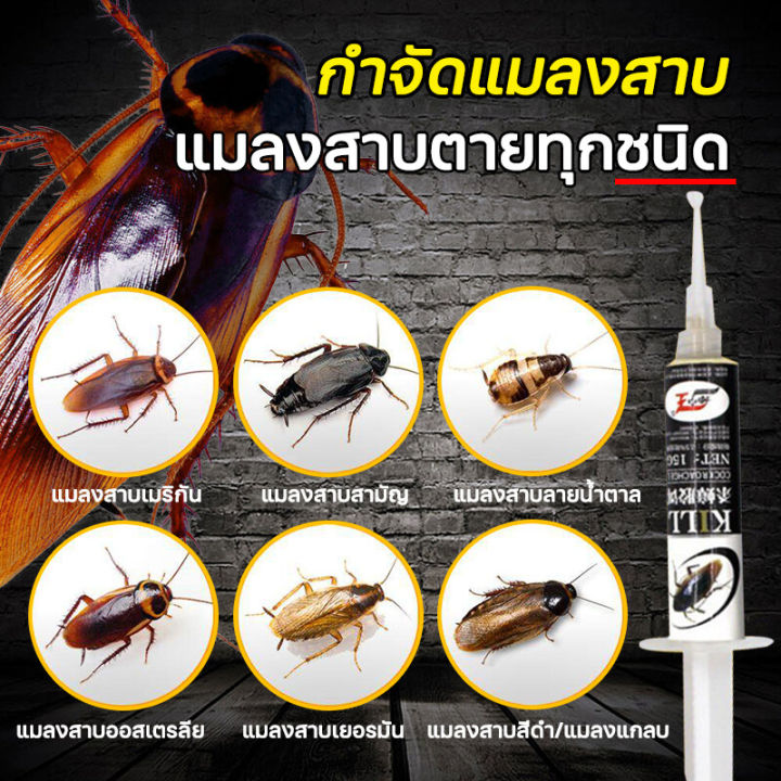 10ปีไม่มีแมลงสาบ-เจลกำจัดแมลงสาบ-เหยื่อแมลงสาบ-แมลงสาบตายต่อเนื่อง-กำจัดแมลงสาบ-กำจัดแมลงสาป-กับดักแมลงสาบ-ยากำจัดแมลงสาบ-ยาฆ่าแมลงสาบ-ดักแมลงสาบ-ที่ดักแมลงสาบ-เหยื่อกำจัดแมลงสาบ-เจลฆ่าแมลงสาบ-เจลแมลง