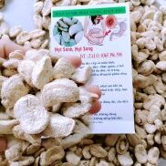 HẠT SÀNH HẠT SANG RỪNG LOẠI GIÀ, RUỘT TRẮNG, 1 GÓI 10 HẠT GIẢI QUYẾT VẤN