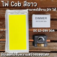 ไฟโซล่าเซลล์ แผงไฟ LED COB DIY 12V 70W (สีขาว) พร้อมมิเตอร์ปรับความสว่างของแสง สินค้าพร้อมส่ง รับประกันสอนค้า สินค้าในไท