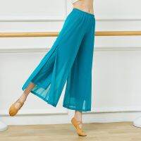 ☫❏ Spring And Summer New Chinese Ancient Style Ethnic Elegant Yarn Material Wide-Leg Pants Body Rhyme Practice Pants Classical Dance Practice Clothing Women