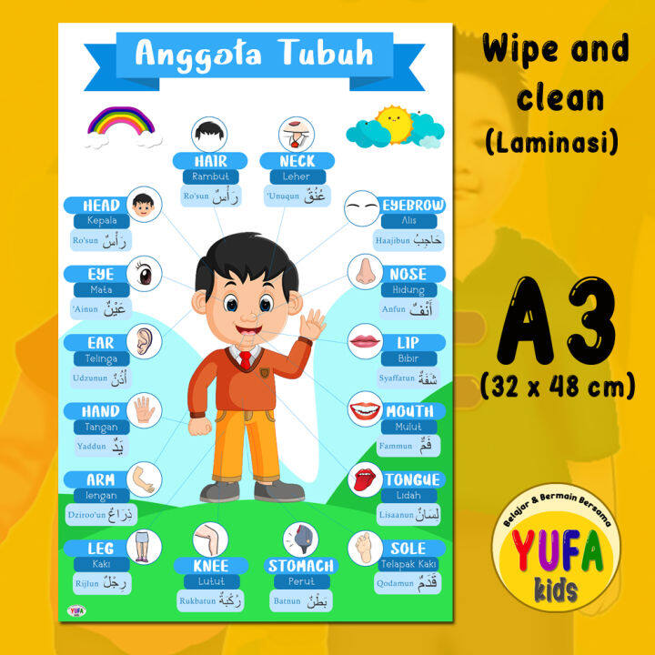 114 Poster Mengenal Anggota Tubuh 3 Bahasa - Poster Edukasi Anak ...