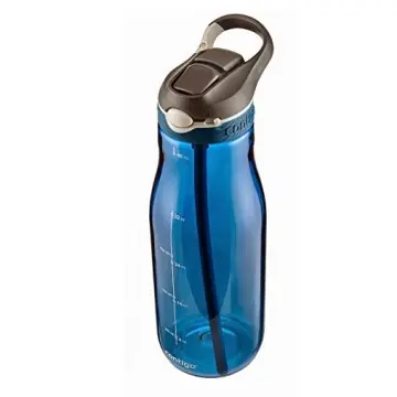 Contigo 32oz Ashland Chill Autospout Stainless Steel Water Bottle