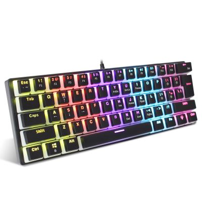 ✐♨❈ 61 Keys Wired Mechanical Keyboard Blue Switch Two-color Injection Pudding Key Cap RGB Backlight For Game Office Home