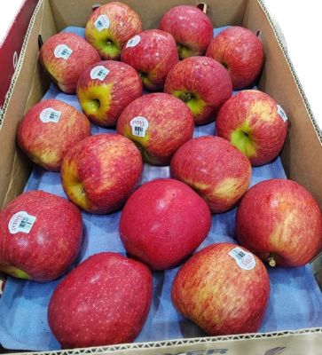 แอปเปิ้ลเอนวี นิวซีแลนด์ เบอร์ M ชุด 5 ลูก Apple Envy New Zealand