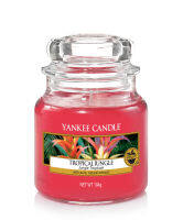 Small Jar Candles Tropical Jungle